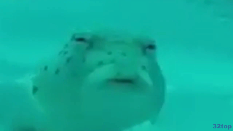 Фотография клиники