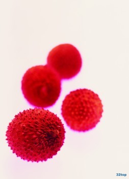 Стоматология ГОРОД м. Ботаническая