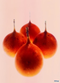 Стоматология КЛЕВЕР ДЕНТ (CLEVER DENT)