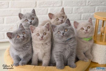 клиника третья