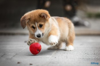 Стоматология СМАЙЛ СТУДИО (SMILE STUDIO)