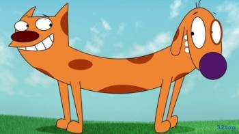 Клиника цена приема 2000 руб