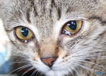 Запоздалая анкета МАКСИМУМ 2026