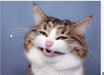 Кариес 10 % акция