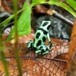 Логотип клиники СИММЕТРИЯ