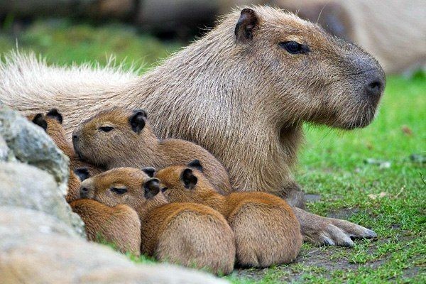 Фотография клиники