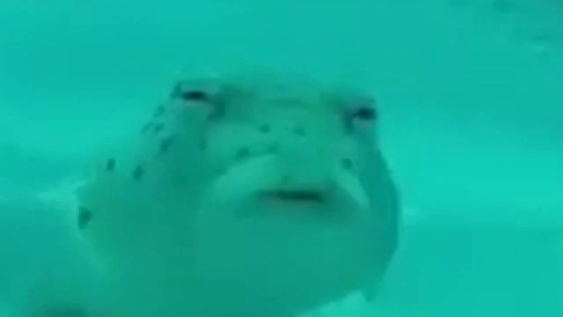 Фотография клиники