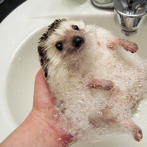 Фотография клиники