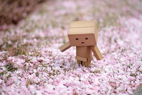 Фотография клиники