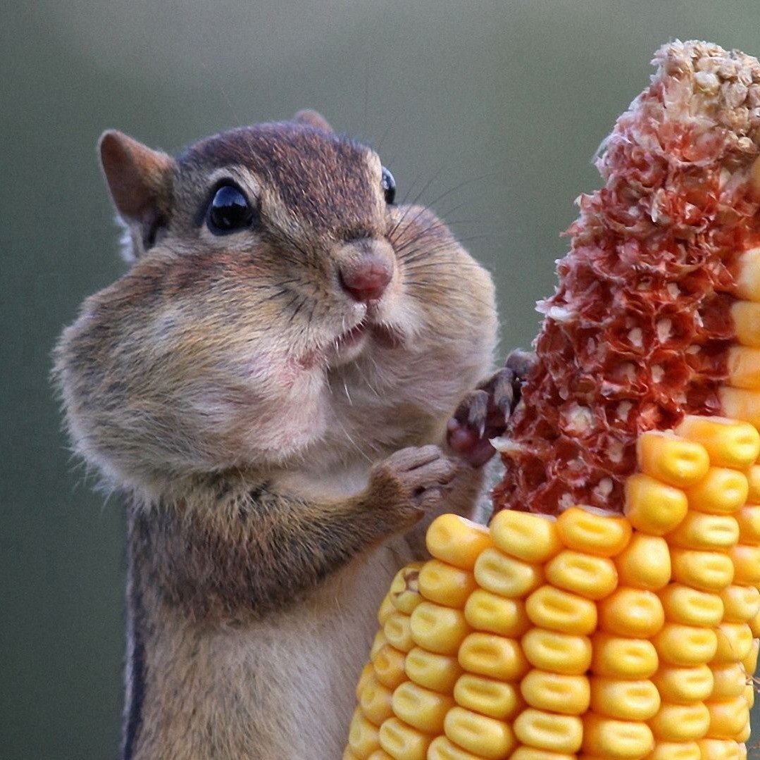 Фотография клиники