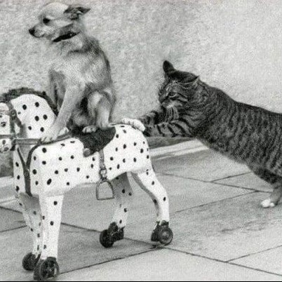 Фотография клиники