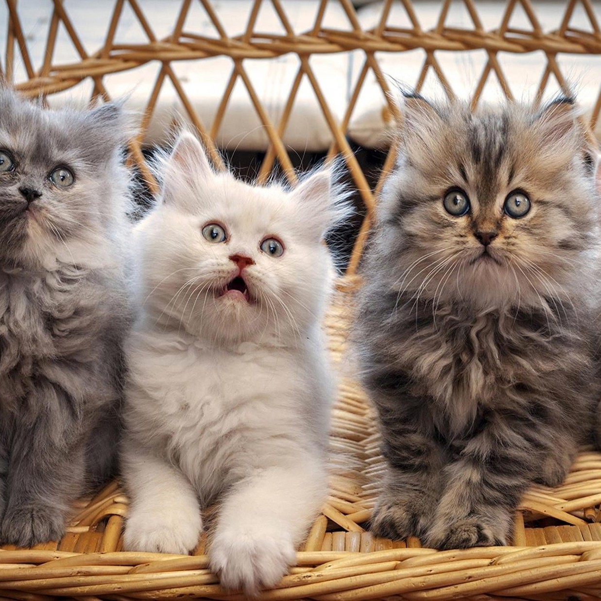 Фотография клиники