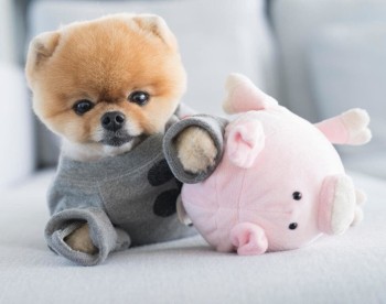 Клиника ЦЕНТР МЕДИЦИНЫ