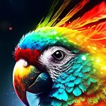 все по 9000 рублей