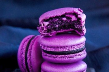 Обложкина клиника Голубь