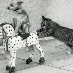 Медицинская клиника Эскулап