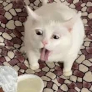 Стоматологов Категорий Петрович - фотография